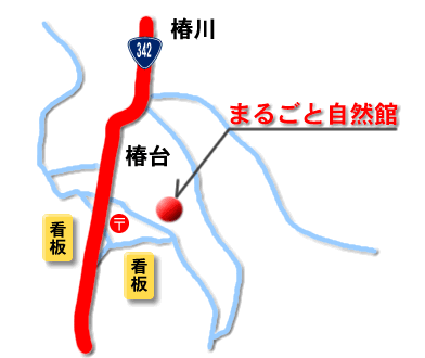 �܂邲�Ǝ��R��